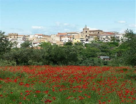 meteo a paglieta|Paglieta, Abruzzo, Italy Weather Forecast 